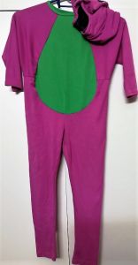 Kids Costumes to Hire - Barney child